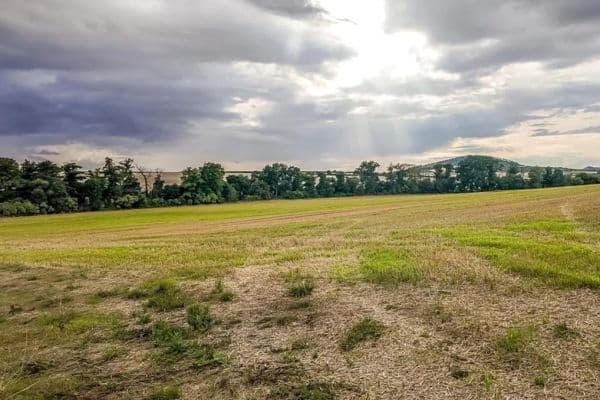 Predaj pozemku 2.077 m², Děčany Predaj pozemku 2.077 m², Děčany