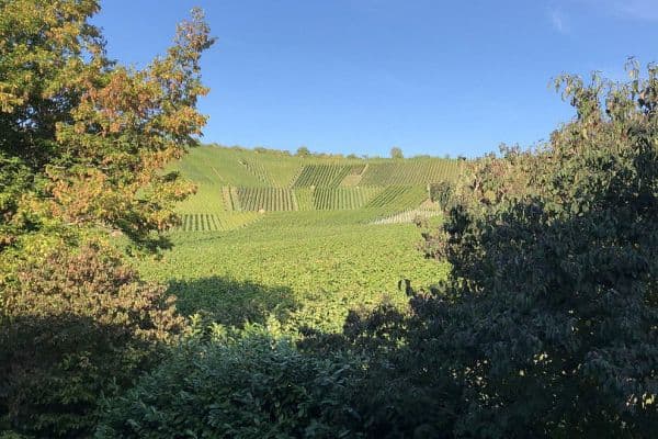 Prenájom bytu 5-izbový 136 m², Weinstadt Prenájom bytu 5-izbový 136 m², Weinstadt