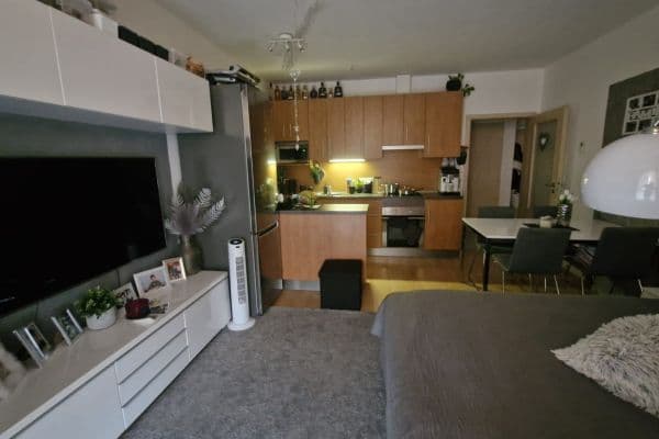 Prenájom bytu 2-izbový 52 m², Říčanská, Brno Prenájom bytu 2-izbový 52 m², Říčanská, Brno