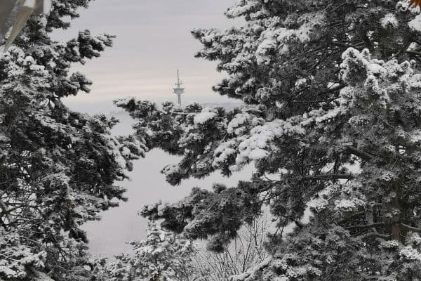 Predaj domu 493 m², pozemek 1.531 m², Glashütten Predaj domu 493 m², pozemek 1.531 m², Glashütten