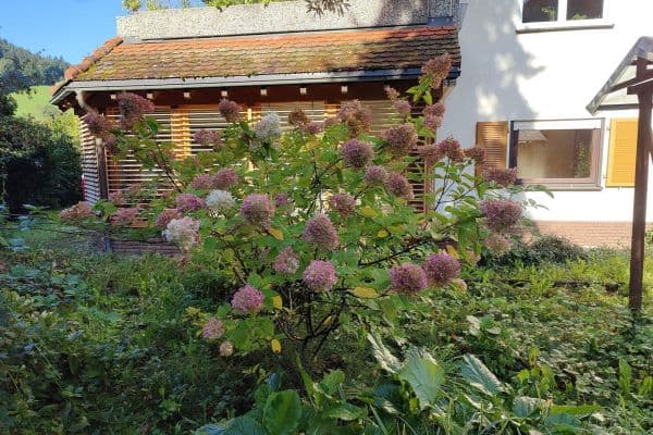 Predaj bytu 4-izbový 152 m², Waldkirch Predaj bytu 4-izbový 152 m², Waldkirch