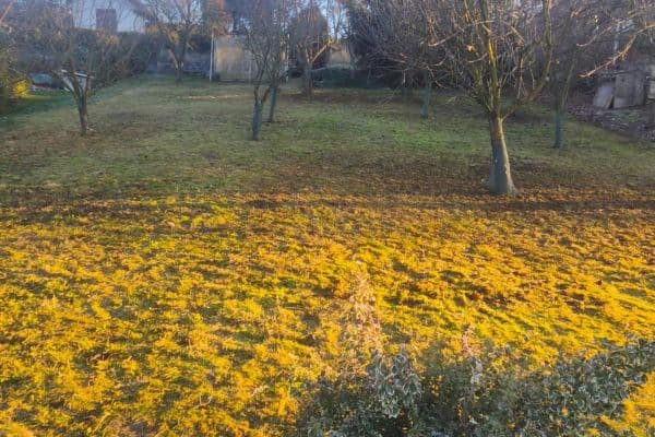 Predaj pozemku 550 m², Veltěže Predaj pozemku 550 m², Veltěže