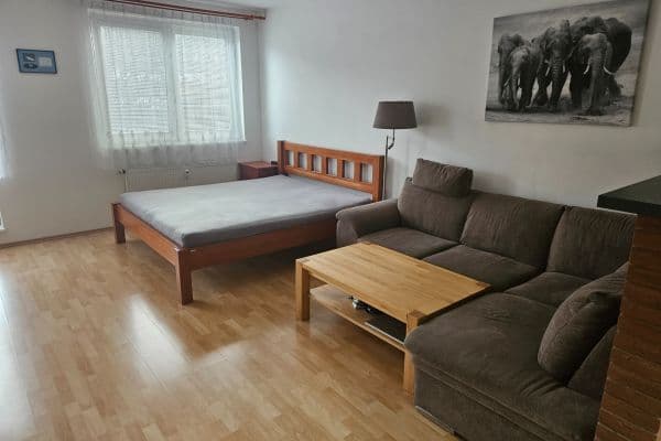 Prenájom bytu 1-izbový 54 m², Novovysočanská, Praha Prenájom bytu 1-izbový 54 m², Novovysočanská, Praha