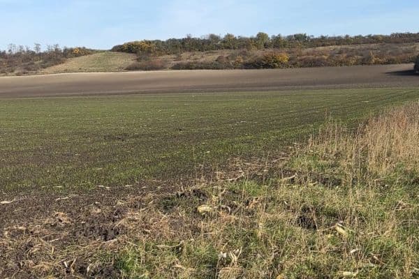 Predaj pozemku 2.534 m², Nedomice Predaj pozemku 2.534 m², Nedomice