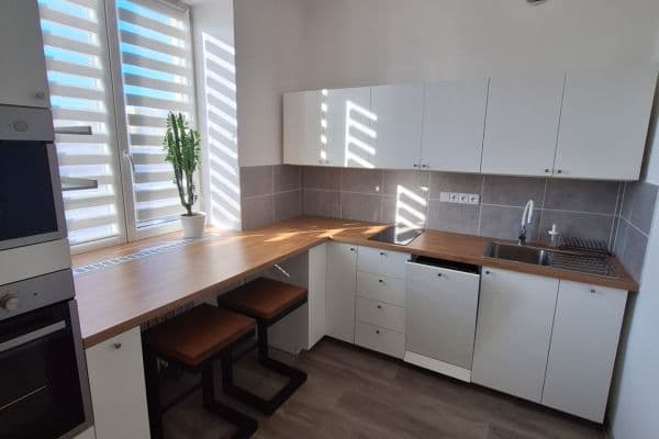 Prenájom bytu 1-izbový 40 m², Zámecký okruh, Opava Prenájom bytu 1-izbový 40 m², Zámecký okruh, Opava