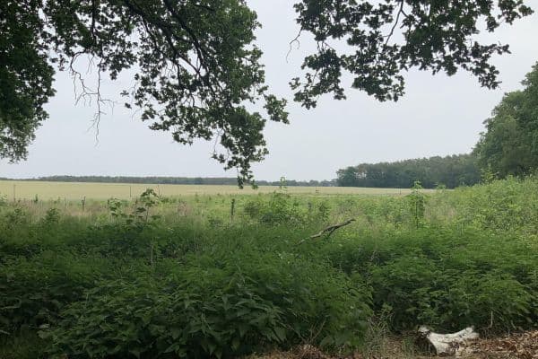 Predaj pozemku 19.700 m², Schulzendorf Predaj pozemku 19.700 m², Schulzendorf