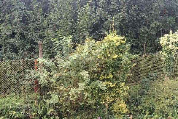 Prenájom bytu 1-izbový 45 m², Wuppertal, Severné Porýnie - Westfálsko Prenájom bytu 1-izbový 45 m², Wuppertal, Severné Porýnie - Westfálsko