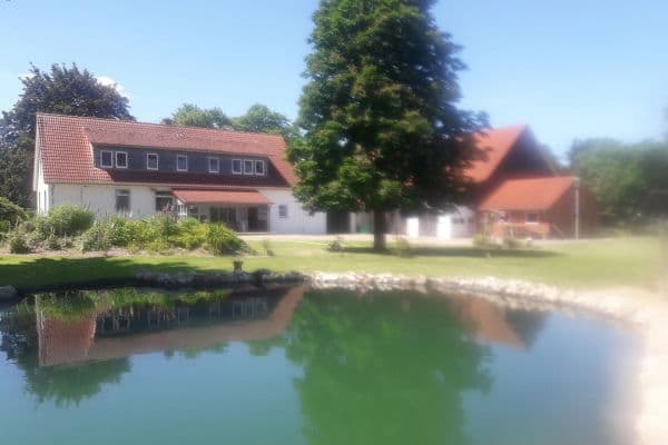 Predaj domu Predaj domu