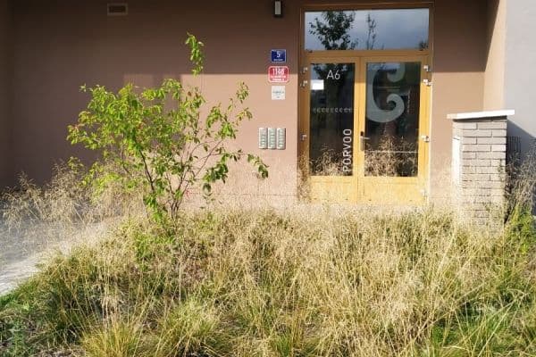 Prenájom bytu 1-izbový 34 m², Waltariho, Praha Prenájom bytu 1-izbový 34 m², Waltariho, Praha