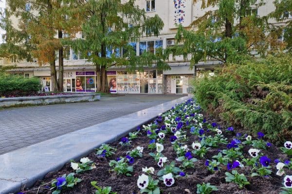 Prenájom kancelárie 71 m², nám. Republiky, Havířov, Moravskoslezský kraj Prenájom kancelárie 71 m², nám. Republiky, Havířov, Moravskoslezský kraj