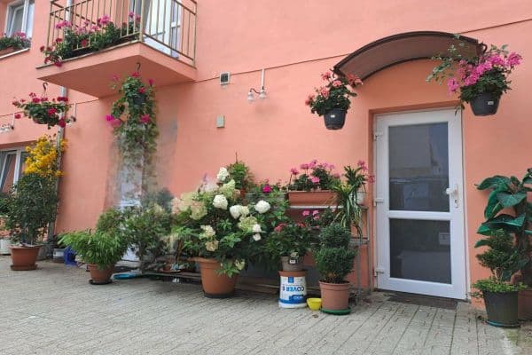 Prenájom bytu 2-izbový 45 m², Masarykovo nám., Přeštice Prenájom bytu 2-izbový 45 m², Masarykovo nám., Přeštice