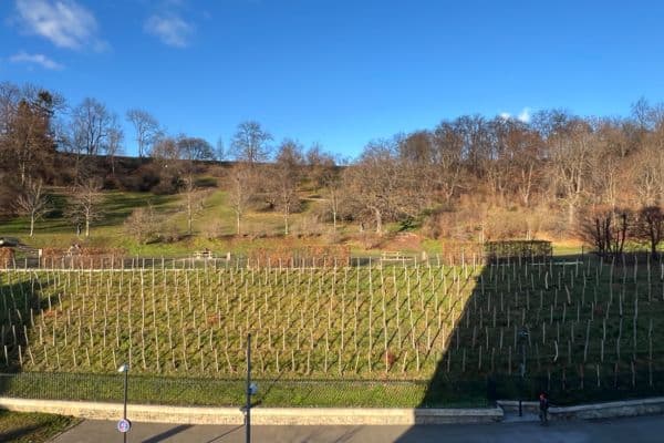 Prenájom bytu 2-izbový 41 m², Tachovské náměstí, Praha Prenájom bytu 2-izbový 41 m², Tachovské náměstí, Praha