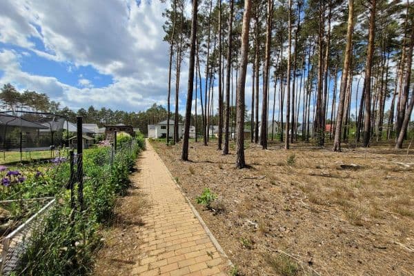 Predaj pozemku 1.081 m², Olof Palme Ring, Borkwalde Predaj pozemku 1.081 m², Olof Palme Ring, Borkwalde