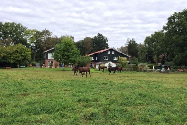 Prenájom bytu 4-izbový 140 m², Liether Moor 9, Klein Nordende Prenájom bytu 4-izbový 140 m², Liether Moor 9, Klein Nordende
