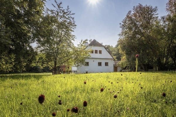 Prenájom rekreačného objektu, Mladošovice - Petrovice Prenájom rekreačného objektu, Mladošovice - Petrovice