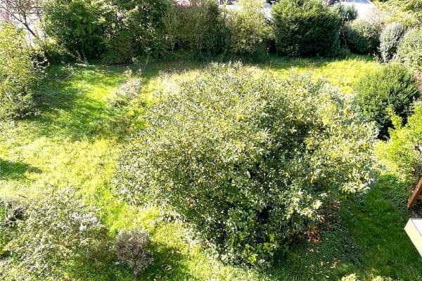 Predaj pozemku 512 m², Eislingen Predaj pozemku 512 m², Eislingen