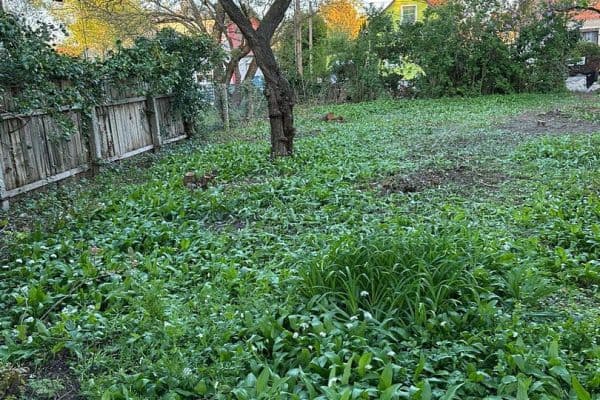 Predaj pozemku 493 m², Wien Predaj pozemku 493 m², Wien