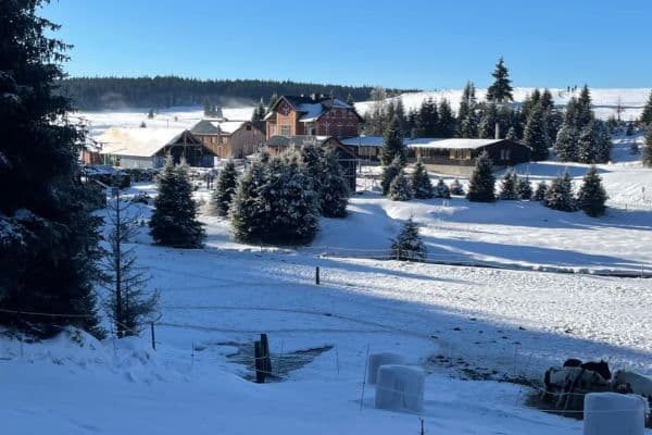 Predaj domu 1.148 m², pozemek 7.869 m², Nové Hamry Predaj domu 1.148 m², pozemek 7.869 m², Nové Hamry