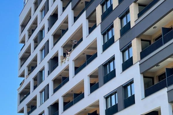 Predaj bytu 1-izbový 33 m², Poděbradská, Praha Predaj bytu 1-izbový 33 m², Poděbradská, Praha