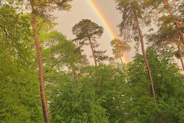 Predaj bytu 4-izbový 120 m², Karlsruhe Predaj bytu 4-izbový 120 m², Karlsruhe