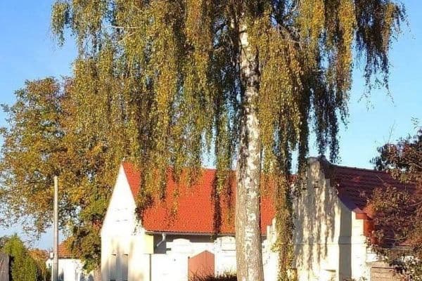 Prenájom rekreačného objektu, Dunajovice u Třeboně Prenájom rekreačného objektu, Dunajovice u Třeboně