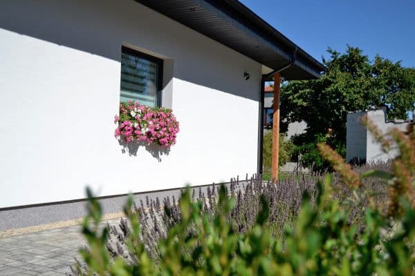 Predaj domu 132 m², pozemek 1.800 m², Kakejcov Predaj domu 132 m², pozemek 1.800 m², Kakejcov