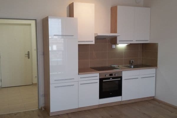 Prenájom bytu 1-izbový 32 m², Technická, Plzeň, Plzeňský kraj Prenájom bytu 1-izbový 32 m², Technická, Plzeň, Plzeňský kraj