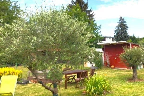 Predaj domu 76 m², pozemek 203 m², Frankfurt Predaj domu 76 m², pozemek 203 m², Frankfurt