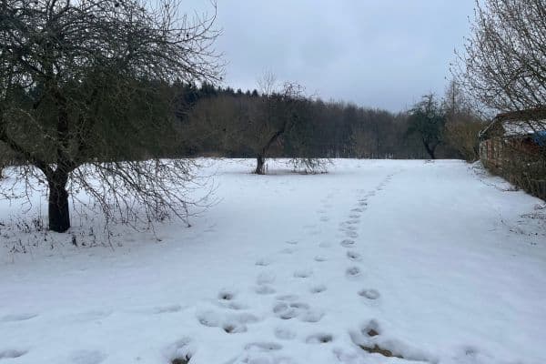 Predaj pozemku 5.000 m², Sadov Predaj pozemku 5.000 m², Sadov