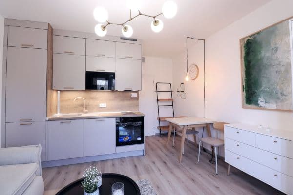 Prenájom bytu 1-izbový 22 m², V Kněžívce, Prenájom bytu 1-izbový 22 m², V Kněžívce,