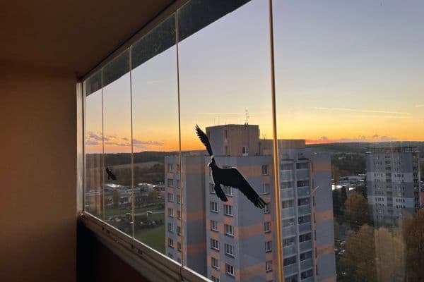 Predaj bytu 1-izbový 31 m², Francouzská, Ostrava Predaj bytu 1-izbový 31 m², Francouzská, Ostrava