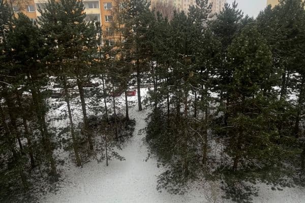 Prenájom bytu 2-izbový 60 m², Lýskova, Brno Prenájom bytu 2-izbový 60 m², Lýskova, Brno