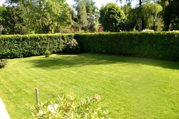 Prenájom bytu 2-izbový 45 m², Grillparzerweg 41, Wuppertal, Severné Porýnie - Westfálsko Prenájom bytu 2-izbový 45 m², Grillparzerweg 41, Wuppertal, Severné Porýnie - Westfálsko