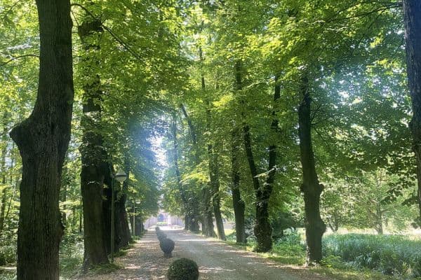 Predaj bytu 2-izbový 60 m², Bergheim Predaj bytu 2-izbový 60 m², Bergheim