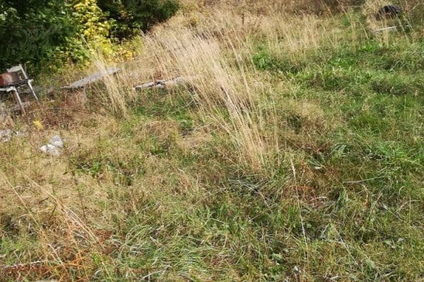 Predaj pozemku 1.034 m², Krkonošská, Desná Predaj pozemku 1.034 m², Krkonošská, Desná