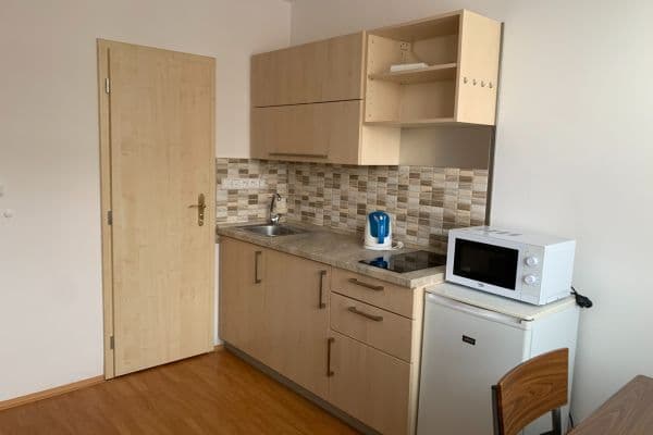 Prenájom bytu 1-izbový 25 m², Vlachova, Praha Prenájom bytu 1-izbový 25 m², Vlachova, Praha