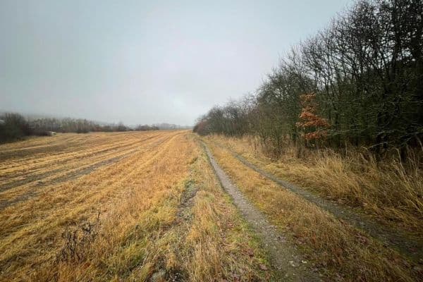 Predaj pozemku 2.496 m², Cerhovice Predaj pozemku 2.496 m², Cerhovice