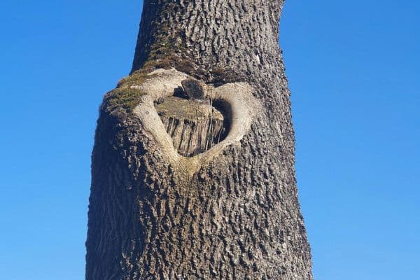 Predaj domu 250 m², pozemek 980 m², Wangen im Allgäu Predaj domu 250 m², pozemek 980 m², Wangen im Allgäu