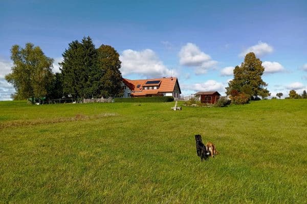 Predaj domu 390 m², pozemek 23.963 m², Rötenbach Predaj domu 390 m², pozemek 23.963 m², Rötenbach