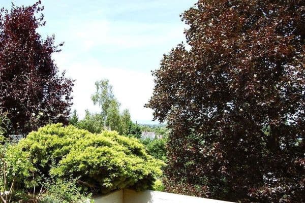 Predaj bytu 2-izbový 118 m², Dreieich Predaj bytu 2-izbový 118 m², Dreieich