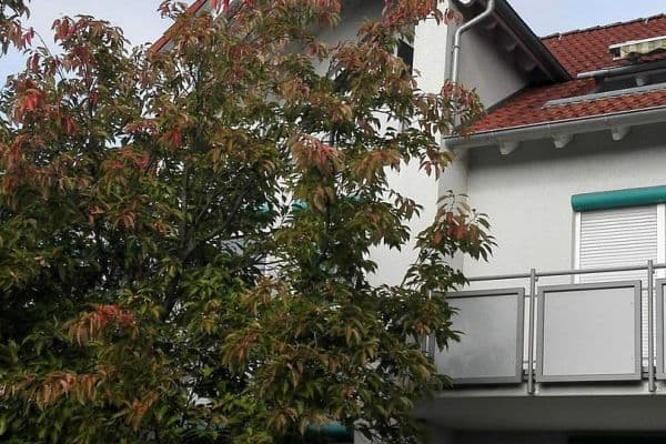 Prenájom bytu 3-izbový 78 m², Schwaigern Prenájom bytu 3-izbový 78 m², Schwaigern