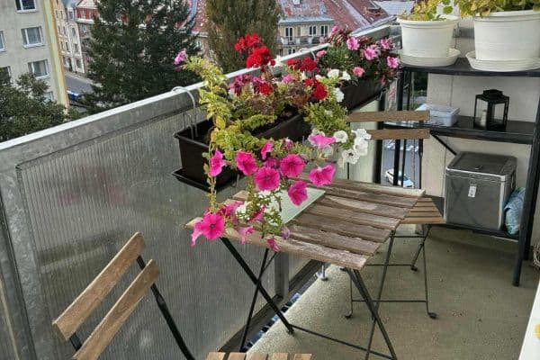 Prenájom bytu 2-izbový 58 m², Oldřichova, Liberec, Liberecký kraj Prenájom bytu 2-izbový 58 m², Oldřichova, Liberec, Liberecký kraj