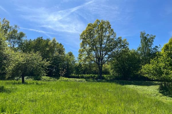 Predaj pozemku 1.603 m², Hrazany Predaj pozemku 1.603 m², Hrazany