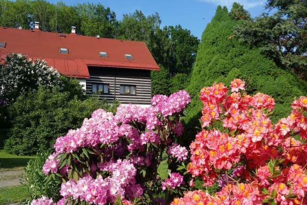 Prenájom rekreačného objektu, Skuhrov Prenájom rekreačného objektu, Skuhrov