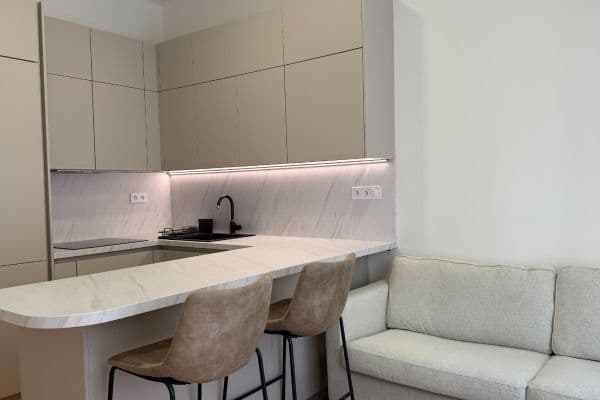 Prenájom bytu 2-izbový 45 m², Vinohradská, Praha Prenájom bytu 2-izbový 45 m², Vinohradská, Praha