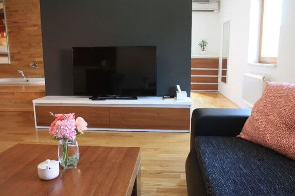 Prenájom bytu 1-izbový 45 m², Vídeňská, Brno Prenájom bytu 1-izbový 45 m², Vídeňská, Brno