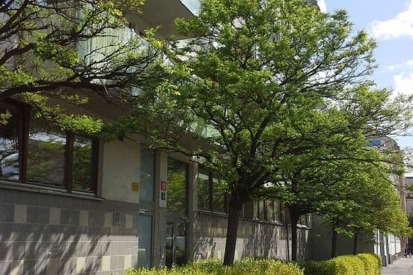 Prenájom bytu 1-izbový 37 m², U Měšťanského pivovaru, Praha Prenájom bytu 1-izbový 37 m², U Měšťanského pivovaru, Praha