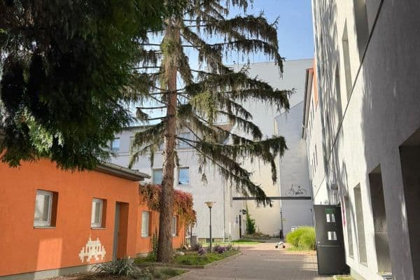 Prenájom bytu 2-izbový 50 m², Cejl, Brno Prenájom bytu 2-izbový 50 m², Cejl, Brno