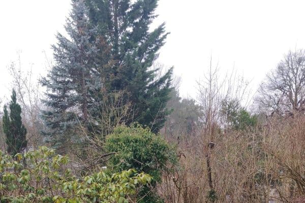 Predaj domu 180 m², pozemek 1.412 m², Wildbahn 48, Berlin, Berlín Predaj domu 180 m², pozemek 1.412 m², Wildbahn 48, Berlin, Berlín