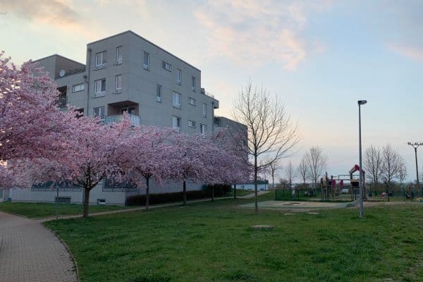 Predaj bytu 2-izbový 54 m², Václava Trojana, Praha Predaj bytu 2-izbový 54 m², Václava Trojana, Praha